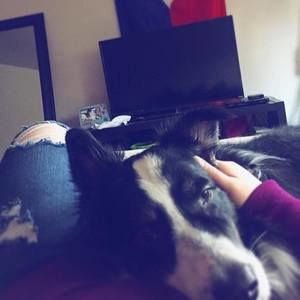 Meet your Posher, Melody